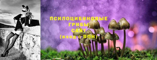 ПСИЛОЦИБИНОВЫЕ ГРИБЫ Алзамай