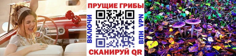 мориарти формула  кракен ссылки  Псилоцибиновые грибы прущие грибы  Заволжье  где найти наркотики 